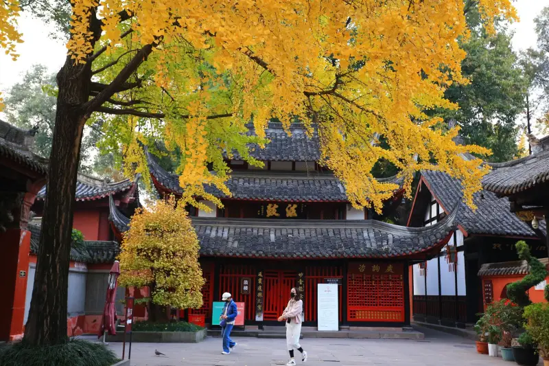上海诺曼维广告：喷绘写真与展架广告物料选型要点分析