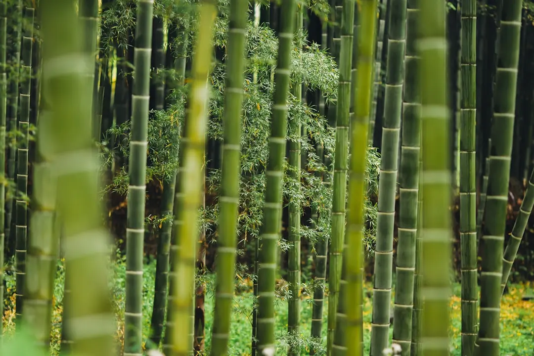 上海广告制作企业如何提升喷绘写真画面色彩精准度