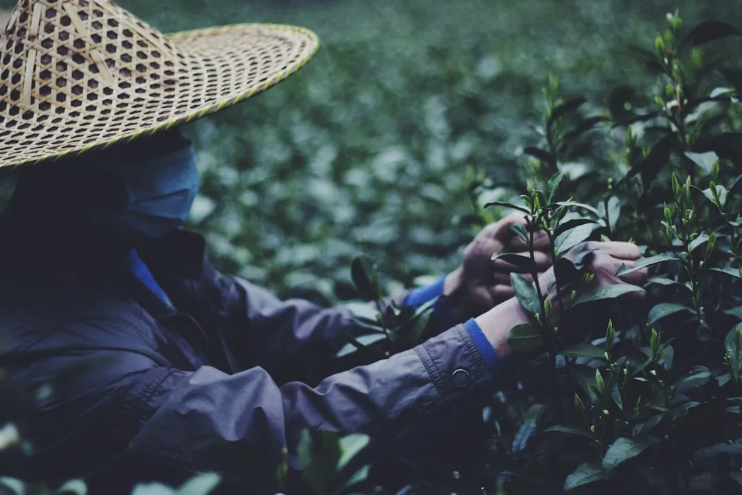 广告制作中易拉宝与X展架材质对比及选型指南